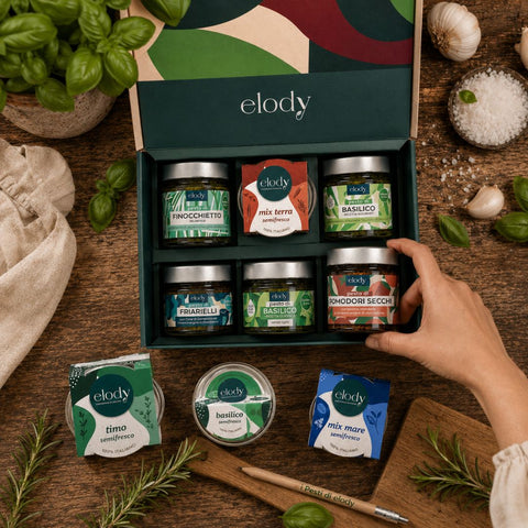Box Selezione